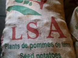 SAC DE POMMES DE TERRE LSA AMIDON4790